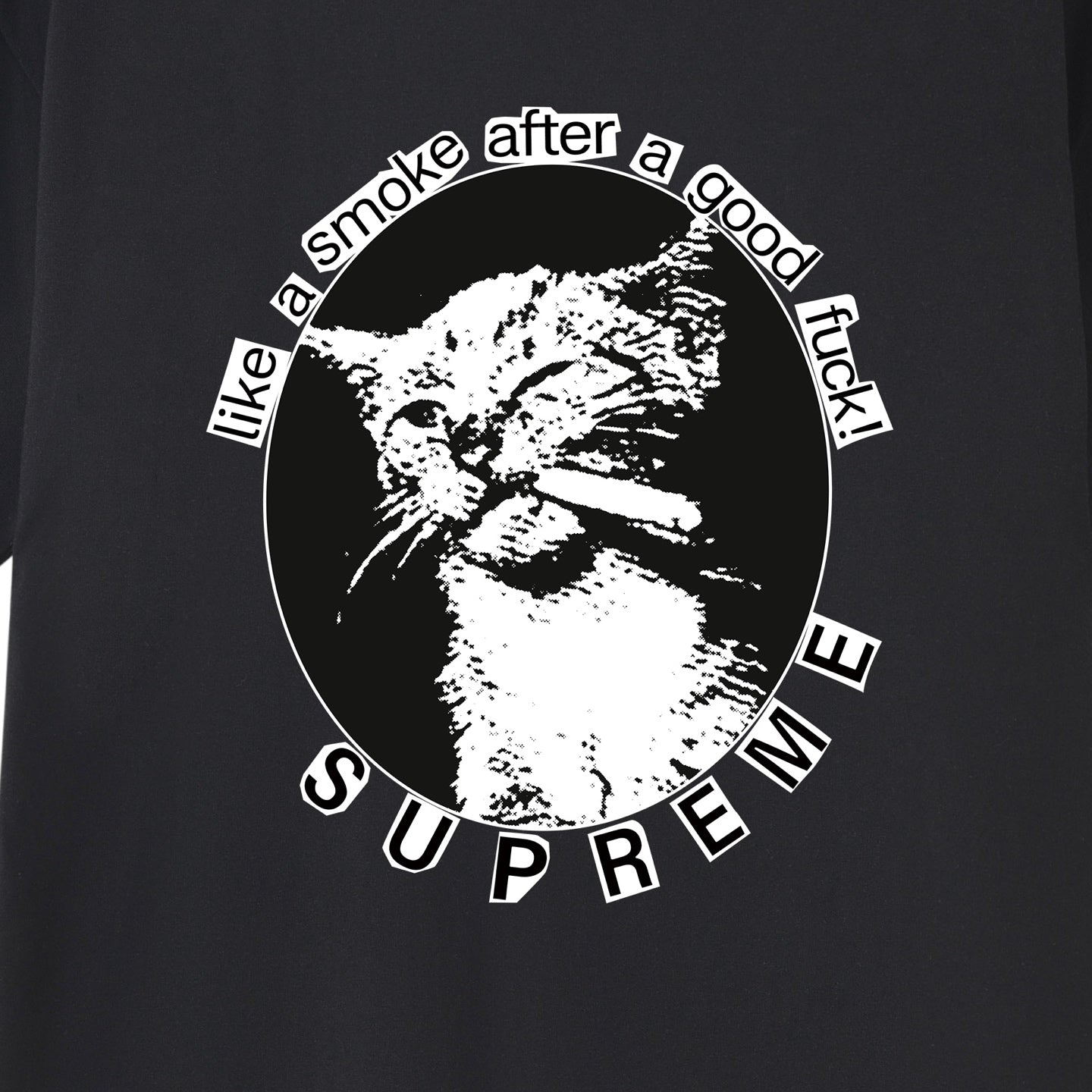 Cat Graphic Print Unisex T-Shirt