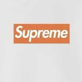 Oversized Logo Print Hoodie THOM TREND